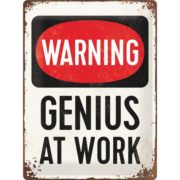 NA23229 30 x 40 genius at work-gebold-metalen-bord-rustiek-tekstbord-tekst-bord-cadeau-kado-online-metaal-decoratie